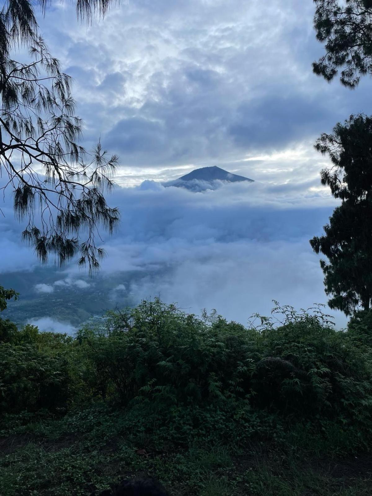 Avocado Homestay เตเตบาตู ภายนอก รูปภาพ