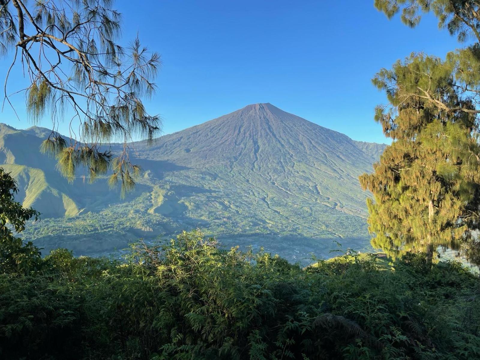 Avocado Homestay เตเตบาตู ภายนอก รูปภาพ