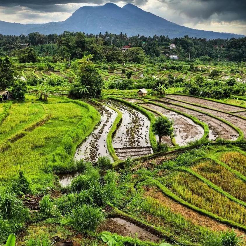 Avocado Homestay เตเตบาตู ภายนอก รูปภาพ