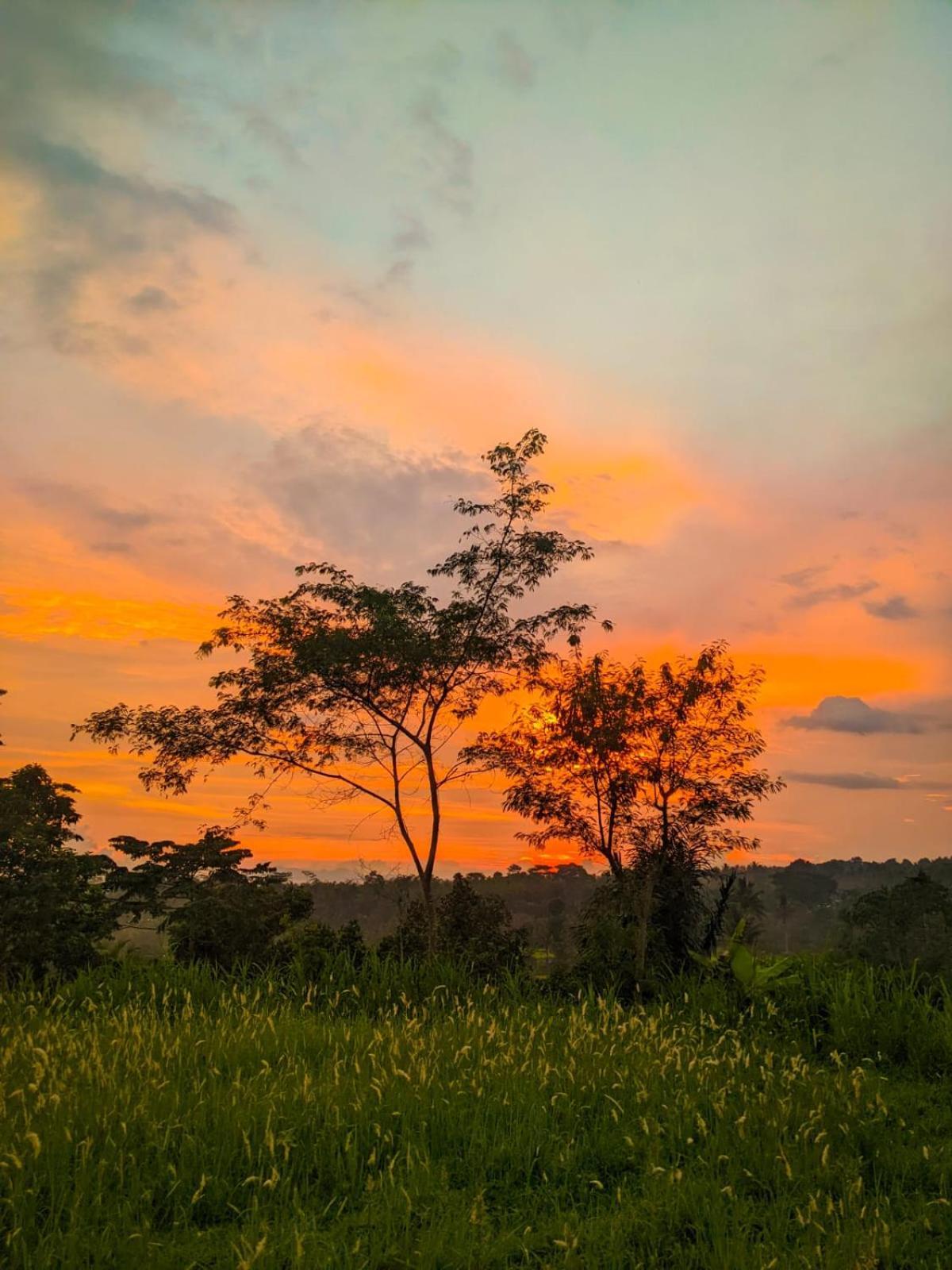 Avocado Homestay เตเตบาตู ภายนอก รูปภาพ