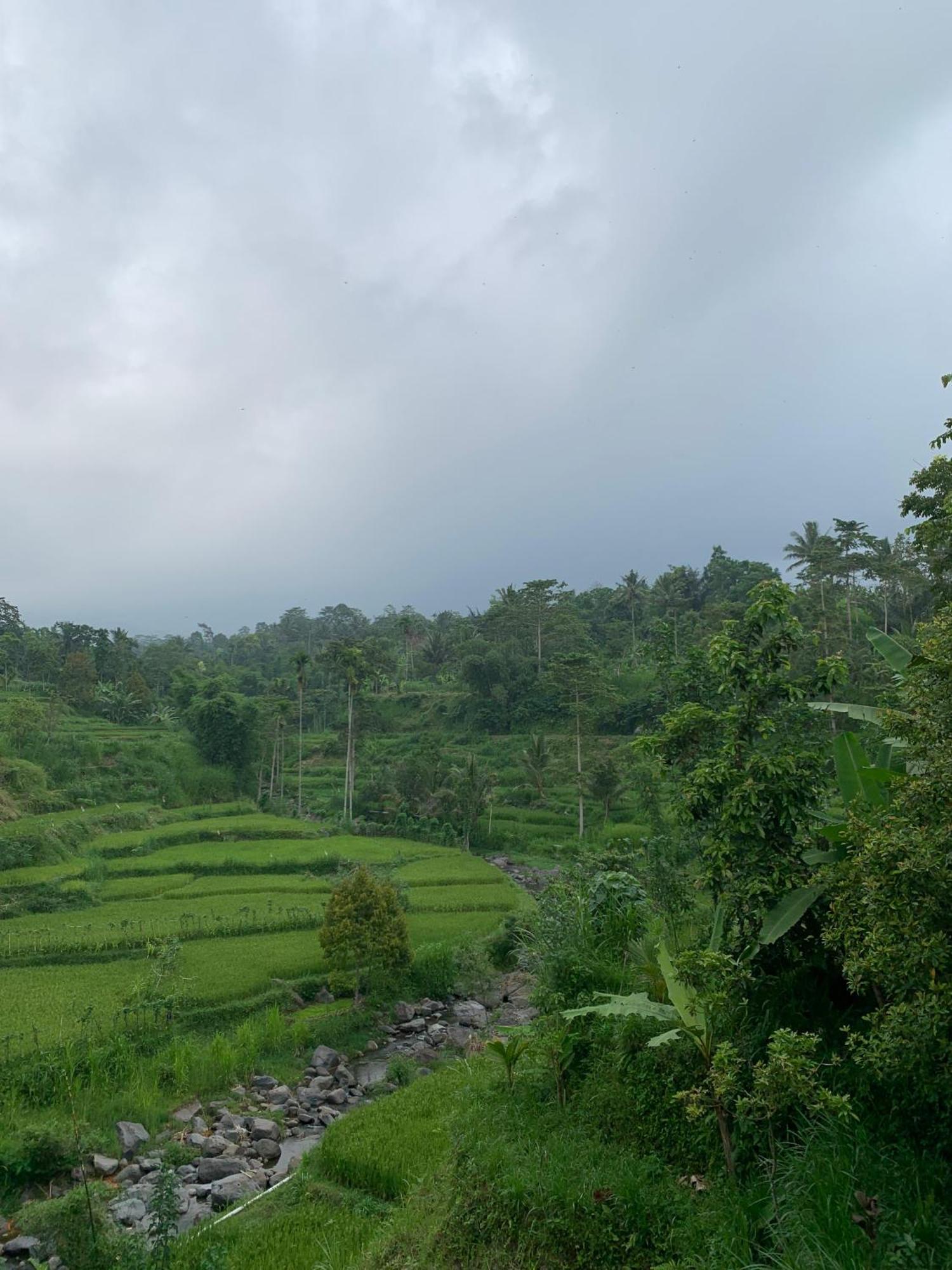 Avocado Homestay เตเตบาตู ภายนอก รูปภาพ