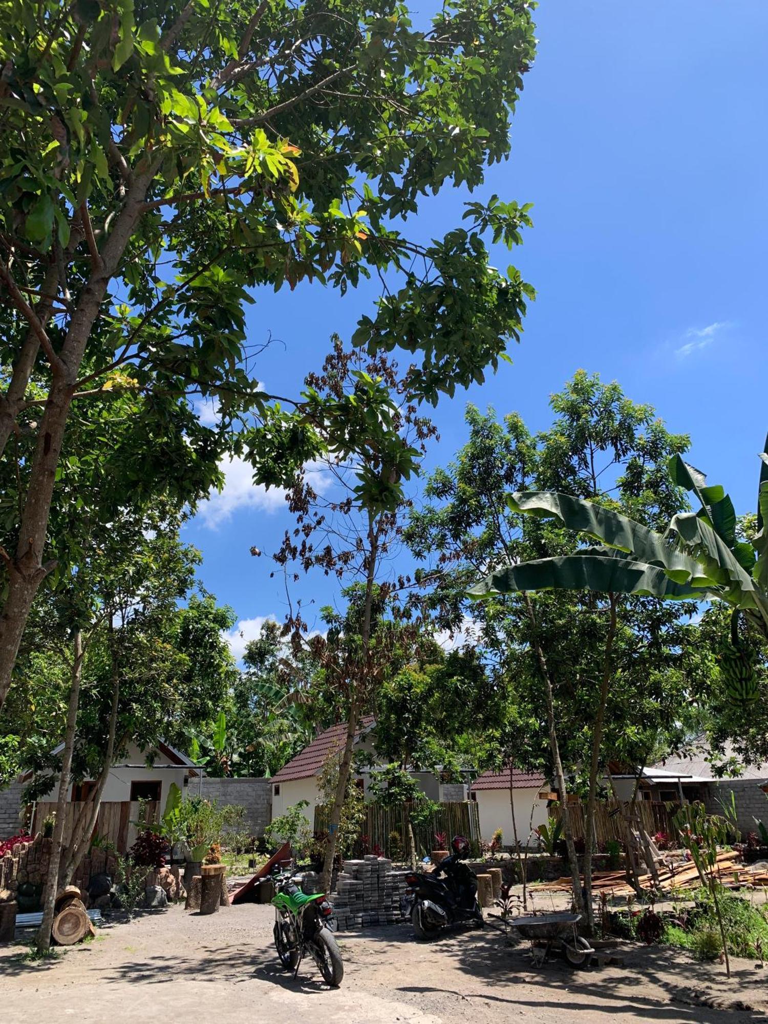 Avocado Homestay เตเตบาตู ภายนอก รูปภาพ