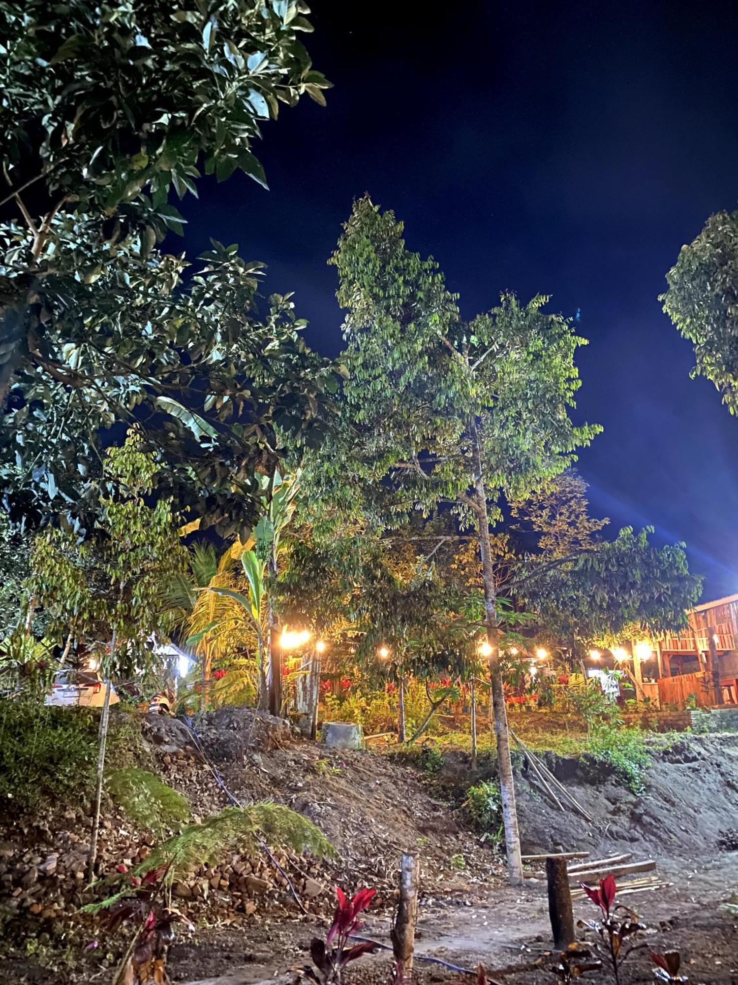 Avocado Homestay เตเตบาตู ภายนอก รูปภาพ