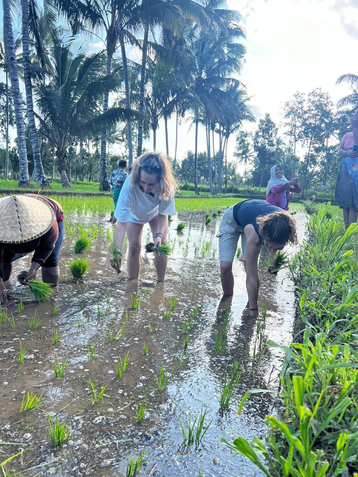 Avocado Homestay เตเตบาตู ภายนอก รูปภาพ