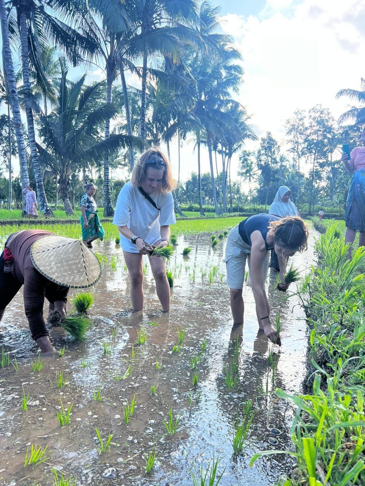 Avocado Homestay เตเตบาตู ภายนอก รูปภาพ